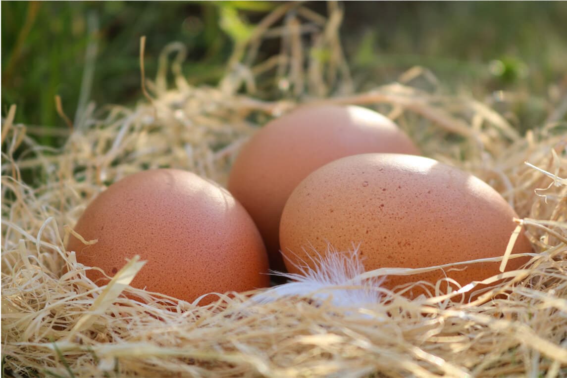 Three free-range brown eggs nestled in straw